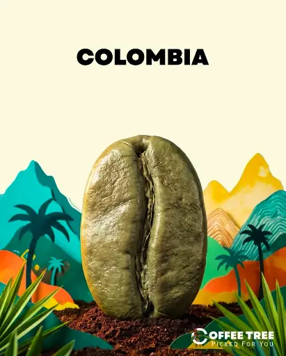 [202] (Colombia -Castillo Washed Lemon Lime(24kg