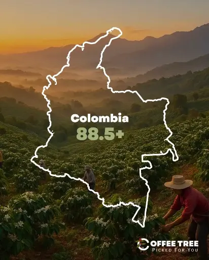 [203] (Colombia -Supremo (70kg