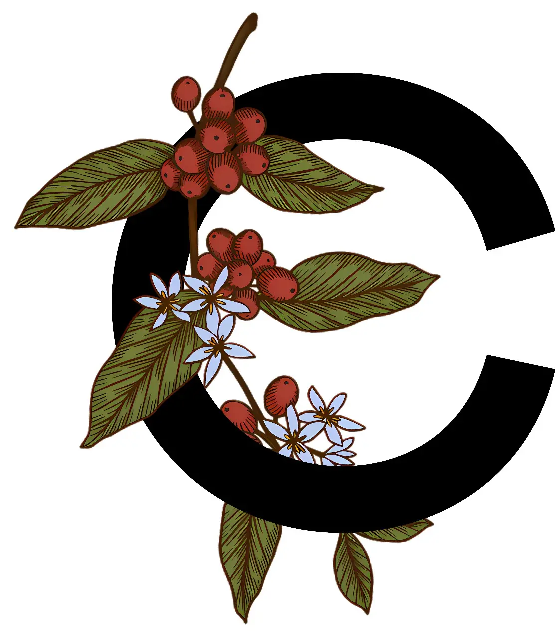 My Website